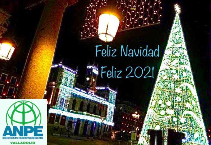 anpe-valladolid.-navidad-2020