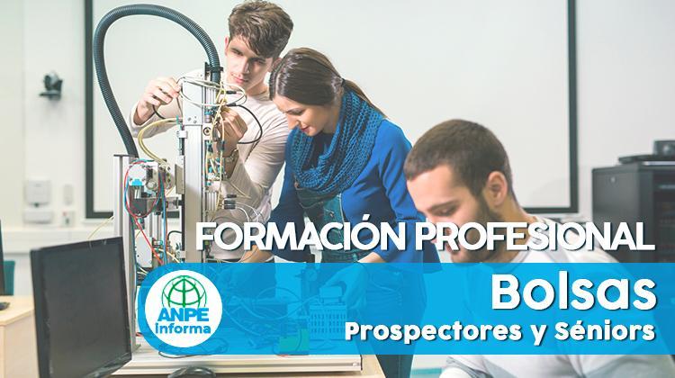 fp_formacion_profesional_prospectores_seniors